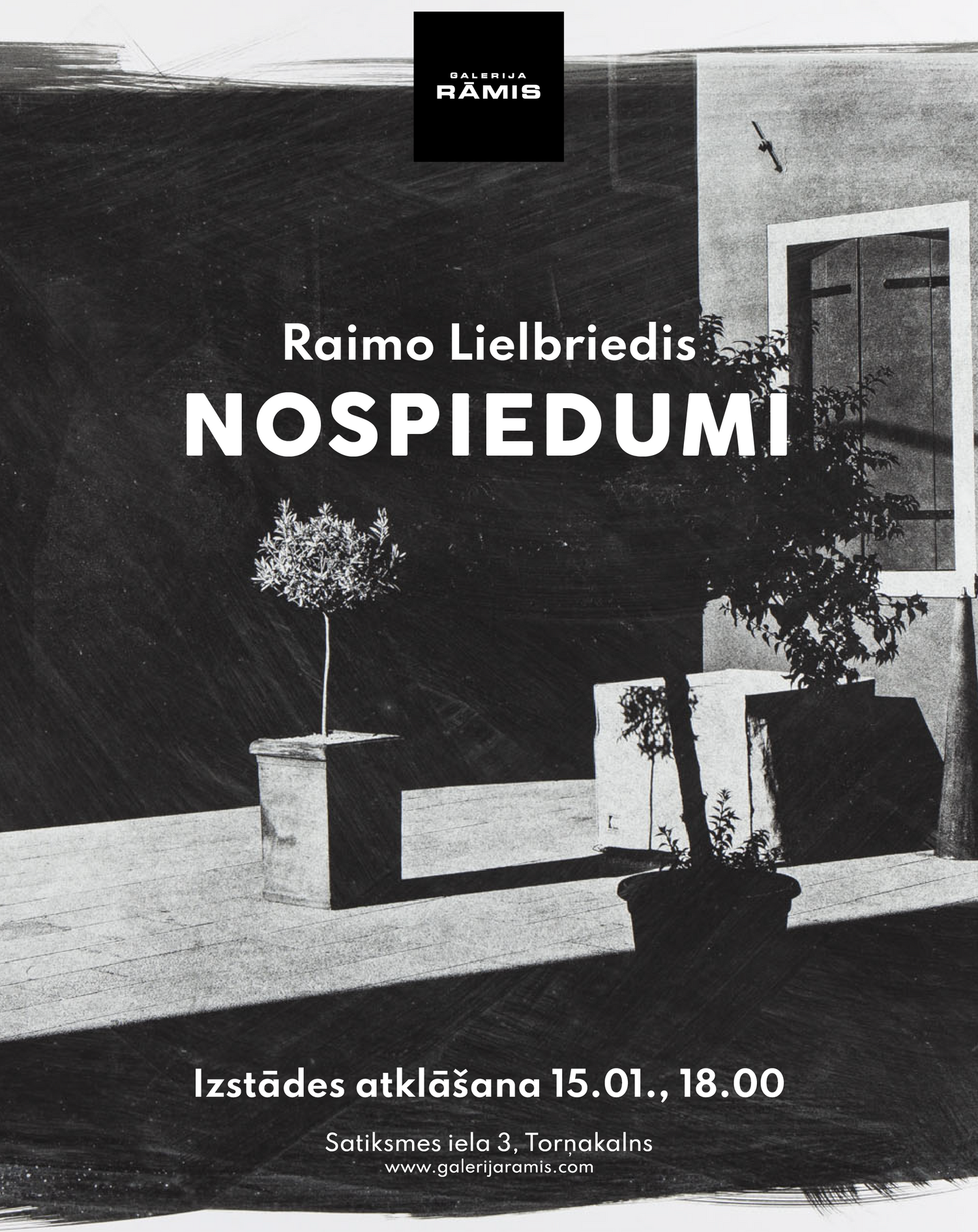 Raimo Lielbriedis