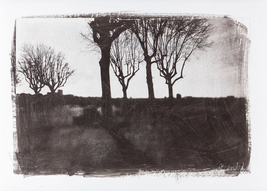 Raimo Lielbriedis - Largo Aviz Porto